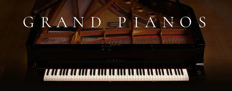 Piano numérique Piano 61 touches et notes Instrument de musique à clavier  électronique portable avec haut-parleurs et modes de cours, accompagnement  automatique adapté aux débutants/adultes : : Instruments de  musique et Sono